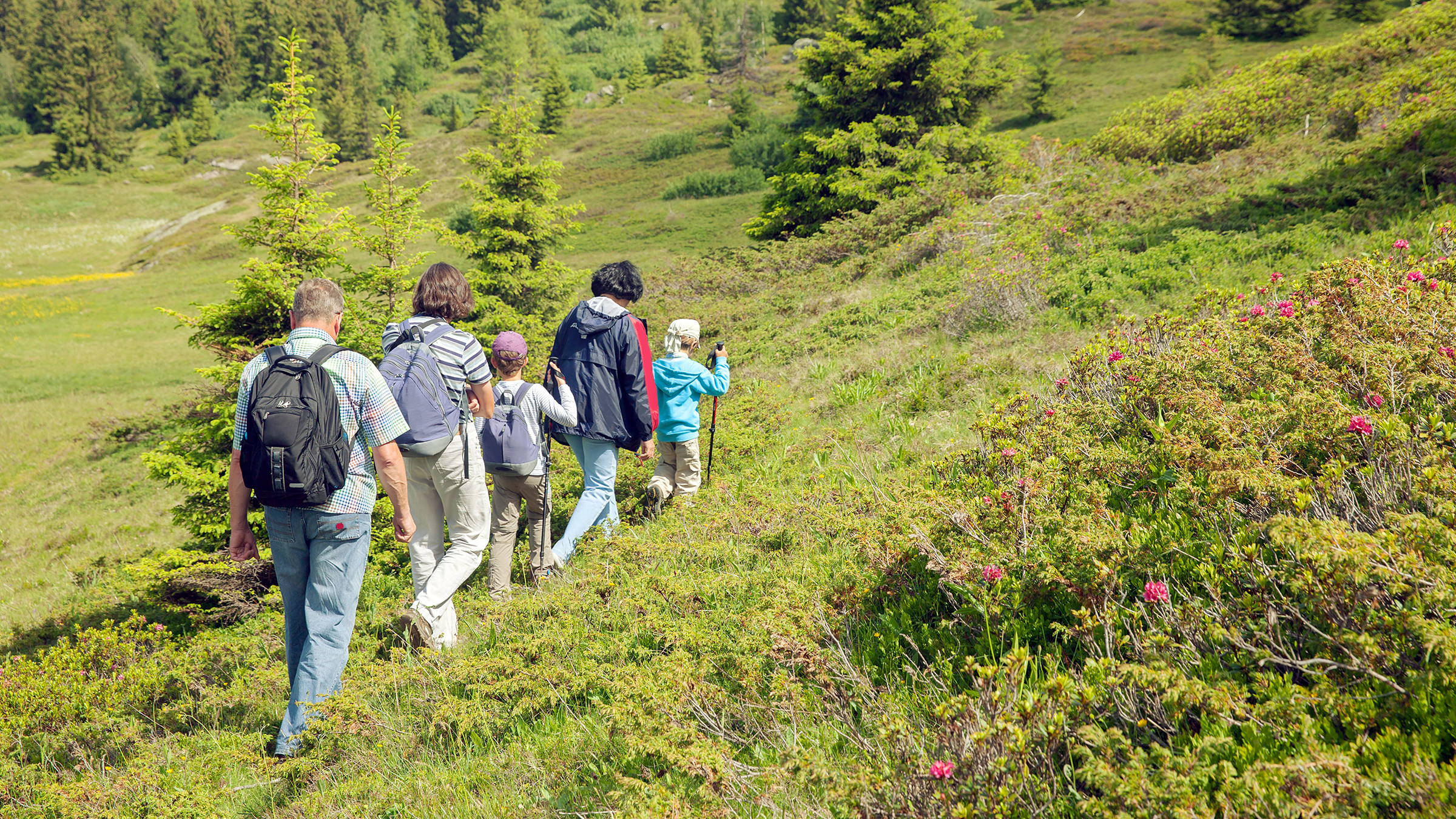 Wandern im Harz - H+ Hotel Goslar - Offizielle Webseite Wandern im Harz - H+ Hotel Goslar - Offizielle Webseite
