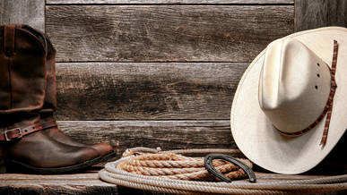 Incentive "Country Day" im H4 Hotel Frankfurt Messe - Offizielle Webseite