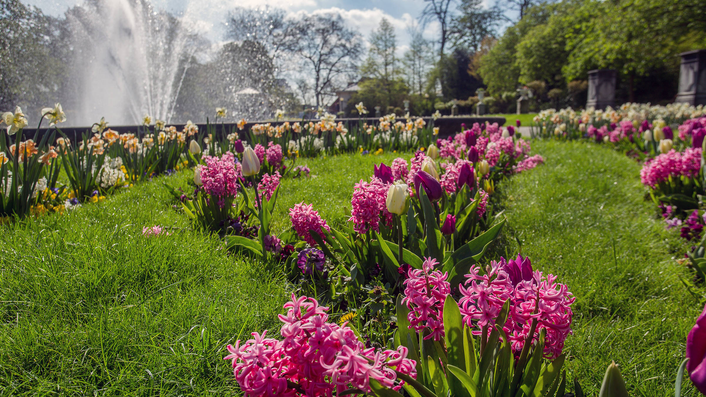 Botanischer Garten in Köln - H+ Hotel Köln Brühl - Offizielle Webseite Botanischer Garten in Köln - H+ Hotel Köln Brühl - Offizielle Webseite