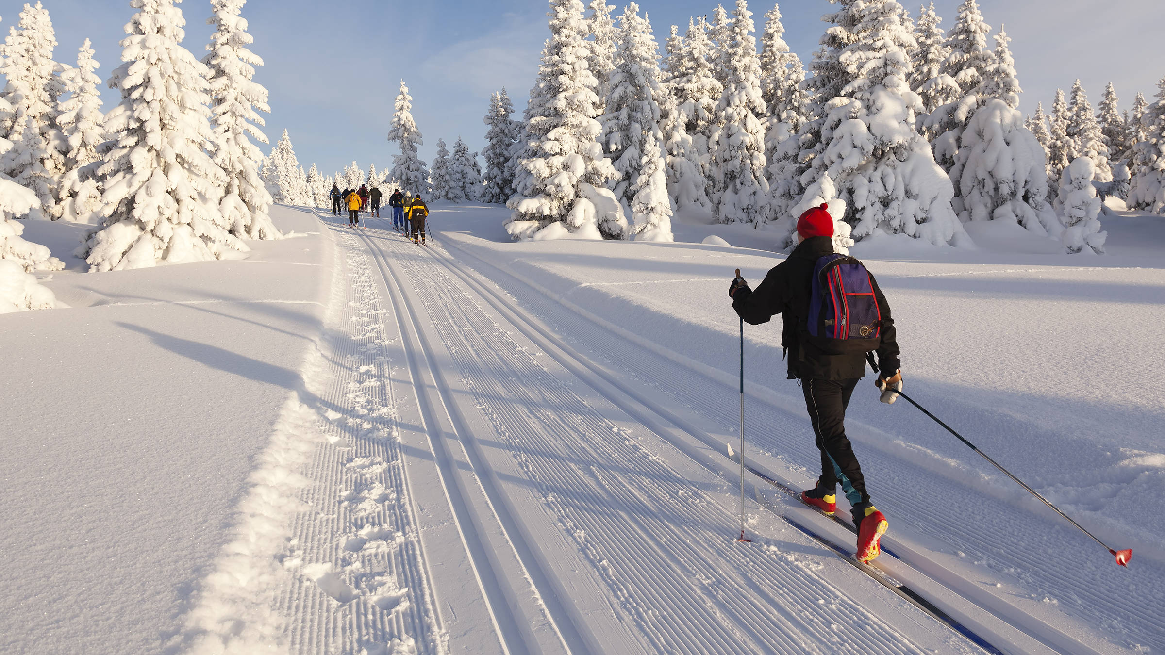 Skiing in the winter regions | H-Hotels.com Skiing in the winter regions | H-Hotels.com