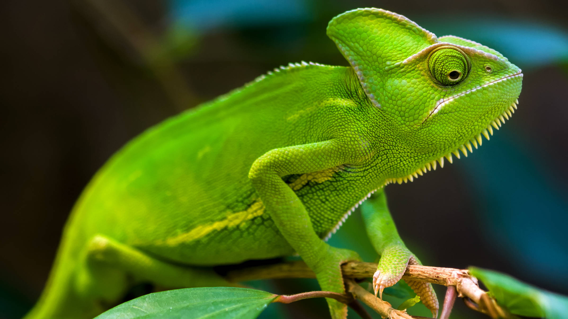 Jardín zoológico de Berlín - H2 Hotel Berlin Aleanderplatz