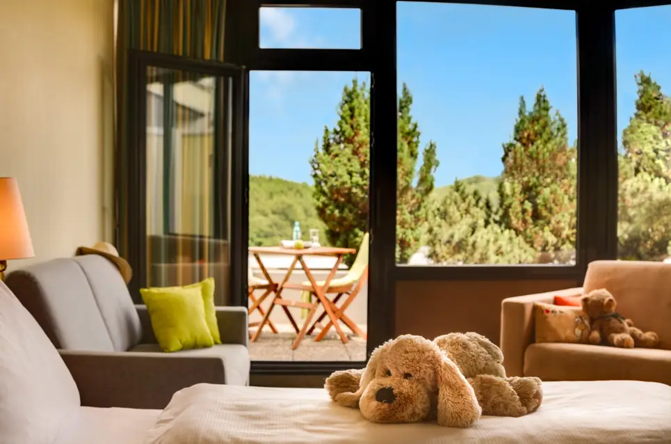 Deluxe room valley view "Schneeberg" - H+ Hotel Willingen - Official website