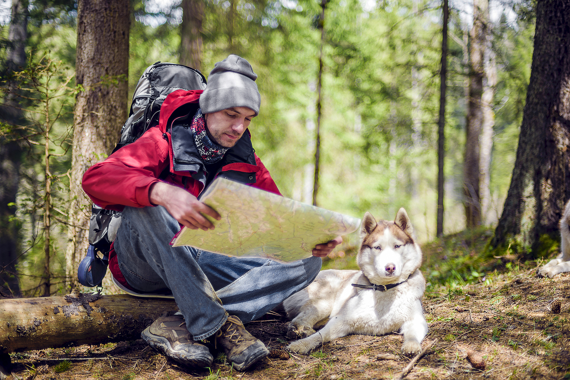 Urlaub mit Hund in den Bergen - H-Hotels.com - Offizielle Webseite Urlaub mit Hund in den Bergen - H-Hotels.com - Offizielle Webseite