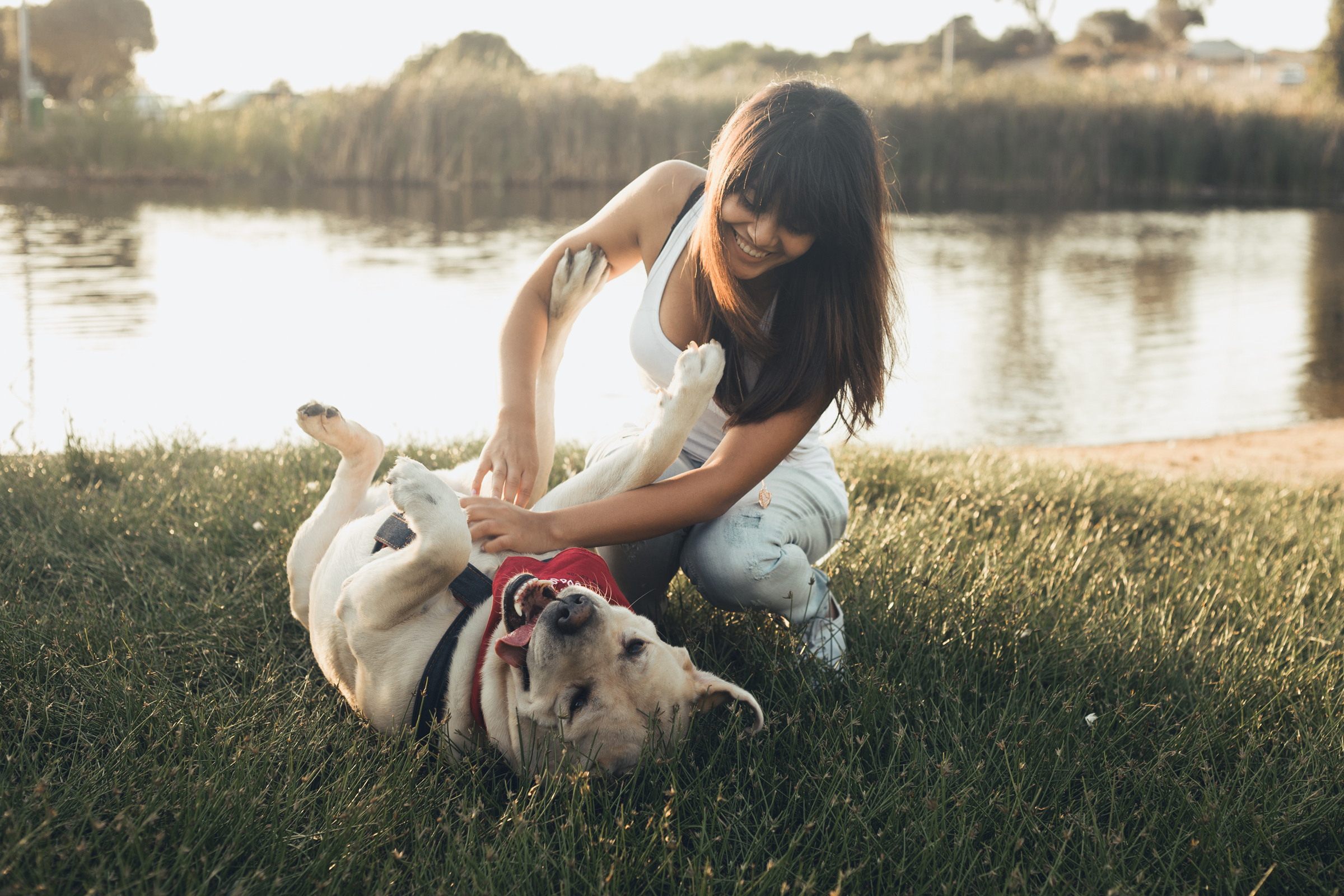 Девушка с собакой. Девушка с собакой на траве. Фотосессия в поле девушка с собакой. Девочка играет с собакой. Фотосессия с собакой у реки.