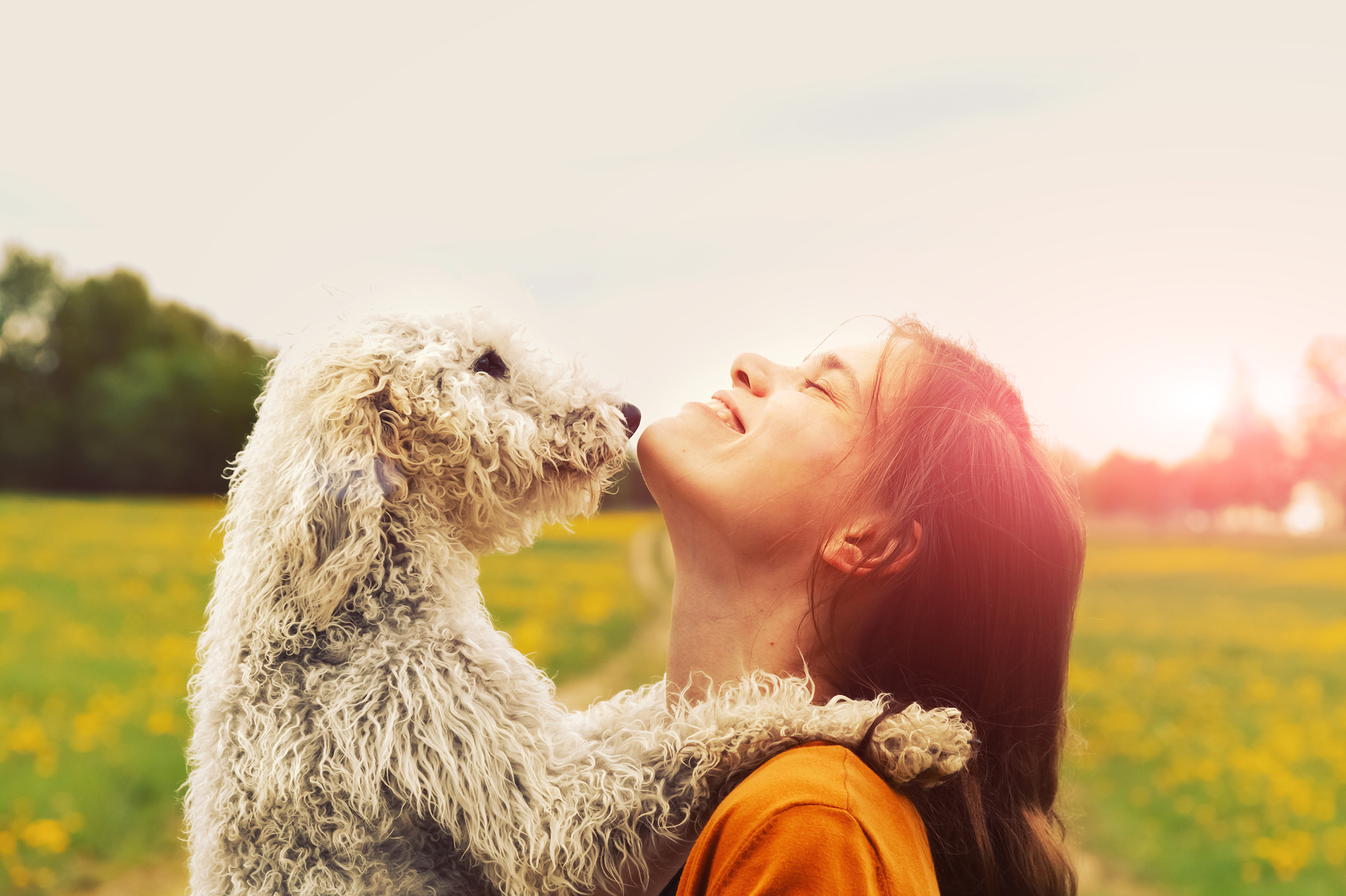 Urlaub mit Hund in Willingen - H+ Hotel Willingen - Offizielle Webseite Urlaub mit Hund in Willingen - H+ Hotel Willingen - Offizielle Webseite