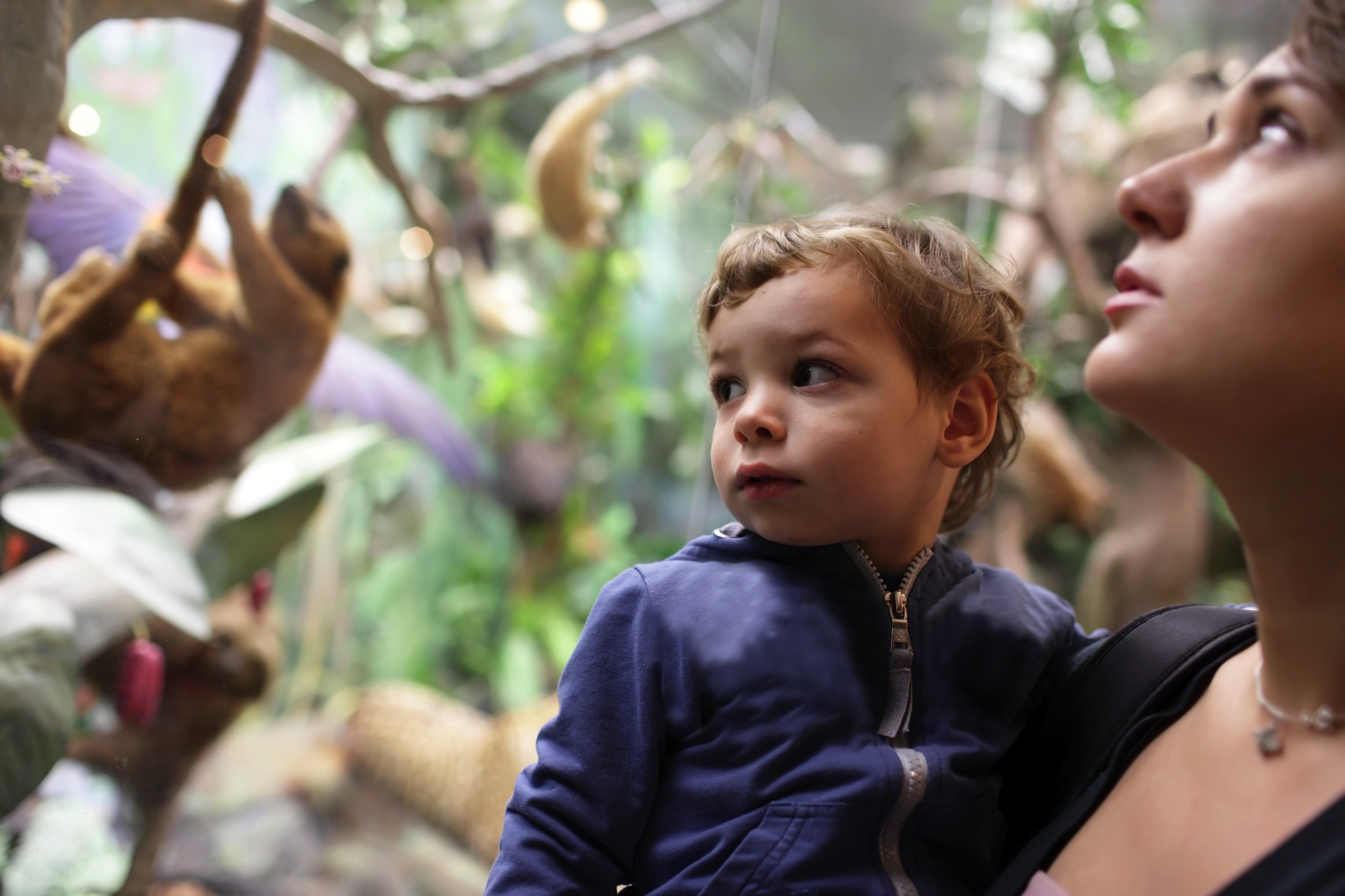 Naturkundemuseum in Leipzig | H-Hotels.com Naturkundemuseum in Leipzig | H-Hotels.com