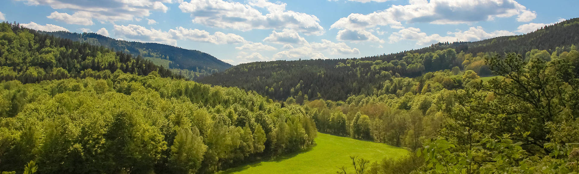 Urlaub im Thüringer Wald in den H-Hotels - Offizielle Webseite