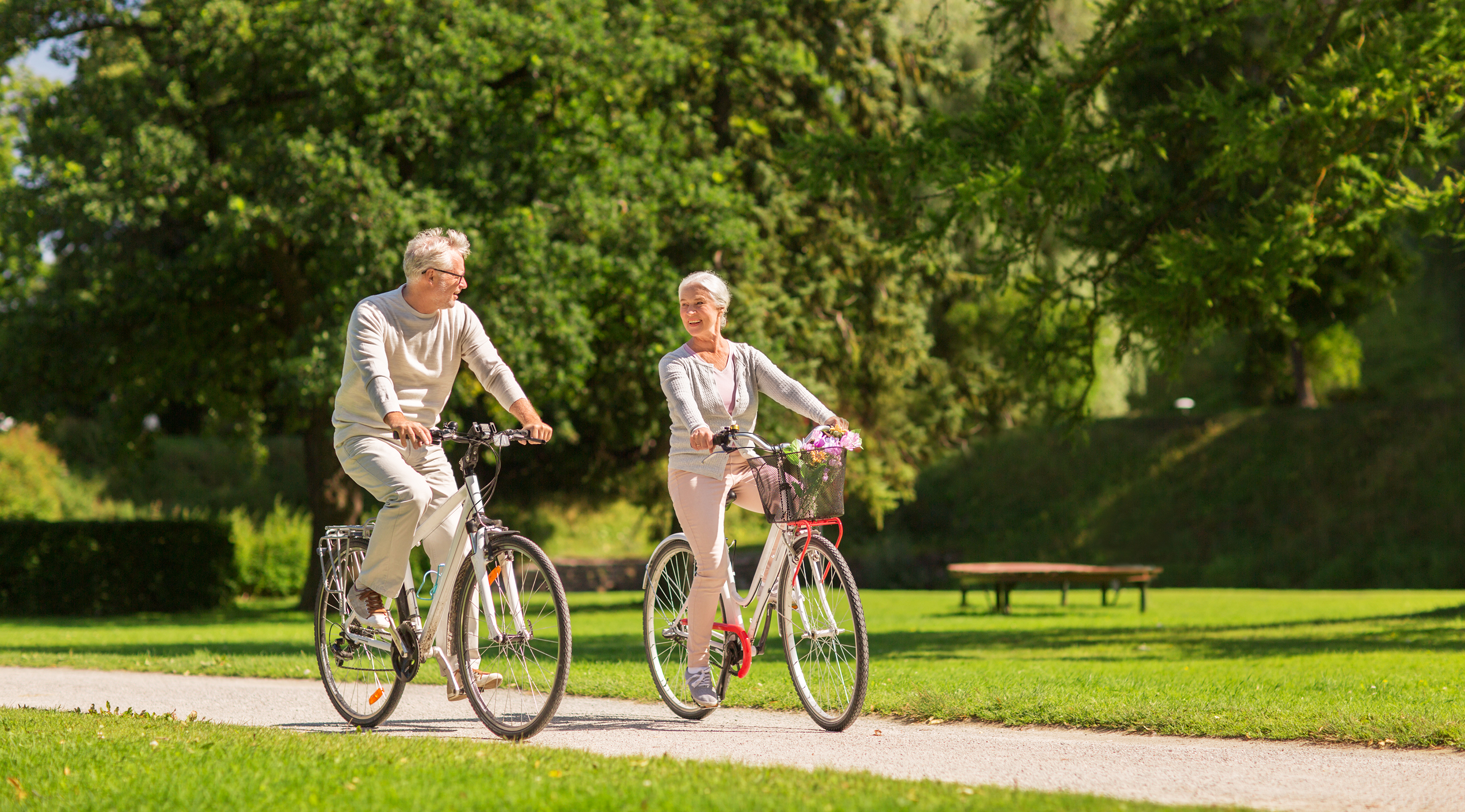 Walking through the park - H+ Hotel Ried - Official website Walking through the park - H+ Hotel Ried - Official website