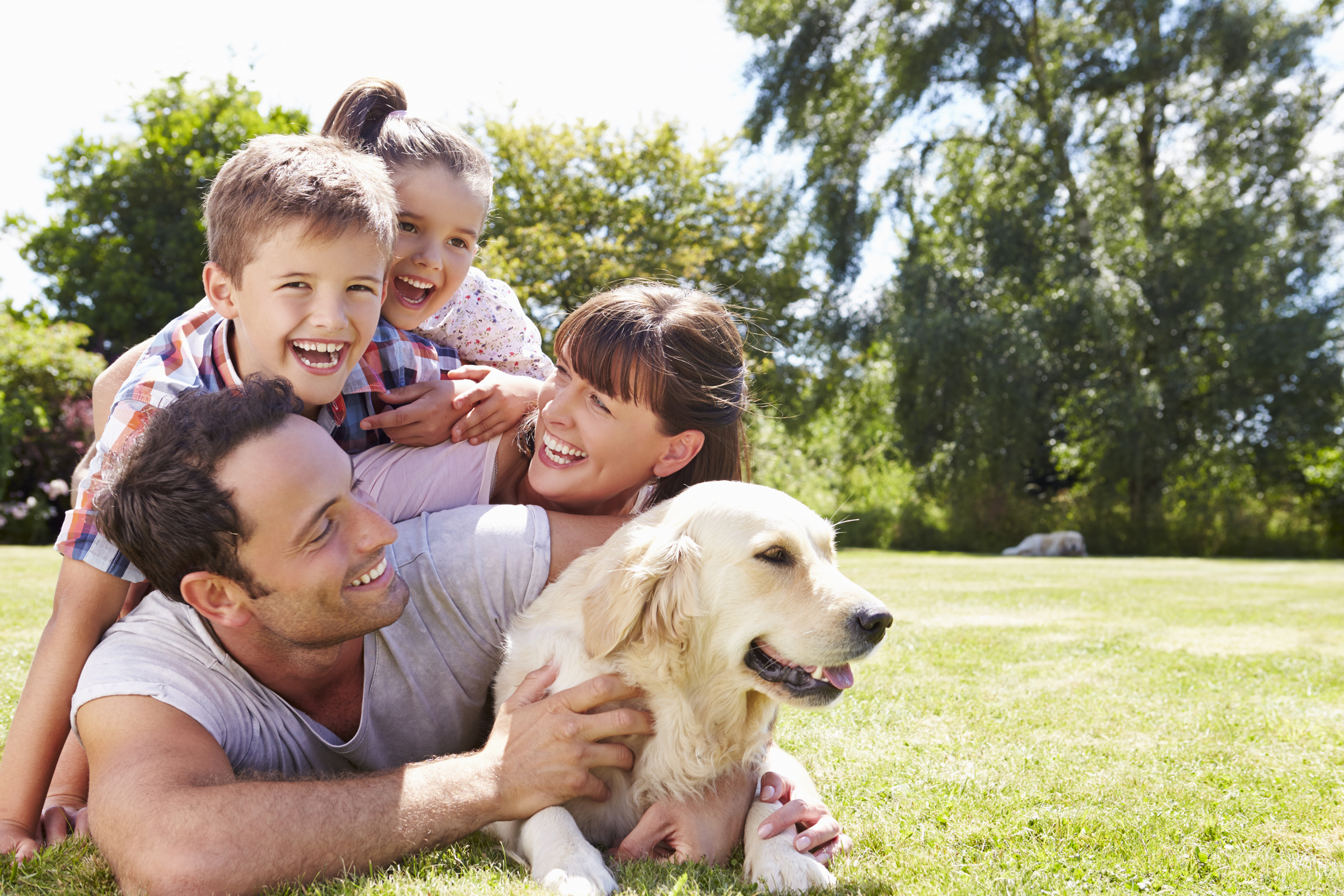 Urlaub mit Hund: hundefreundliche Unterkunft finden - H-Hotels.com - Offizielle Webseite Urlaub mit Hund: hundefreundliche Unterkunft finden - H-Hotels.com - Offizielle Webseite