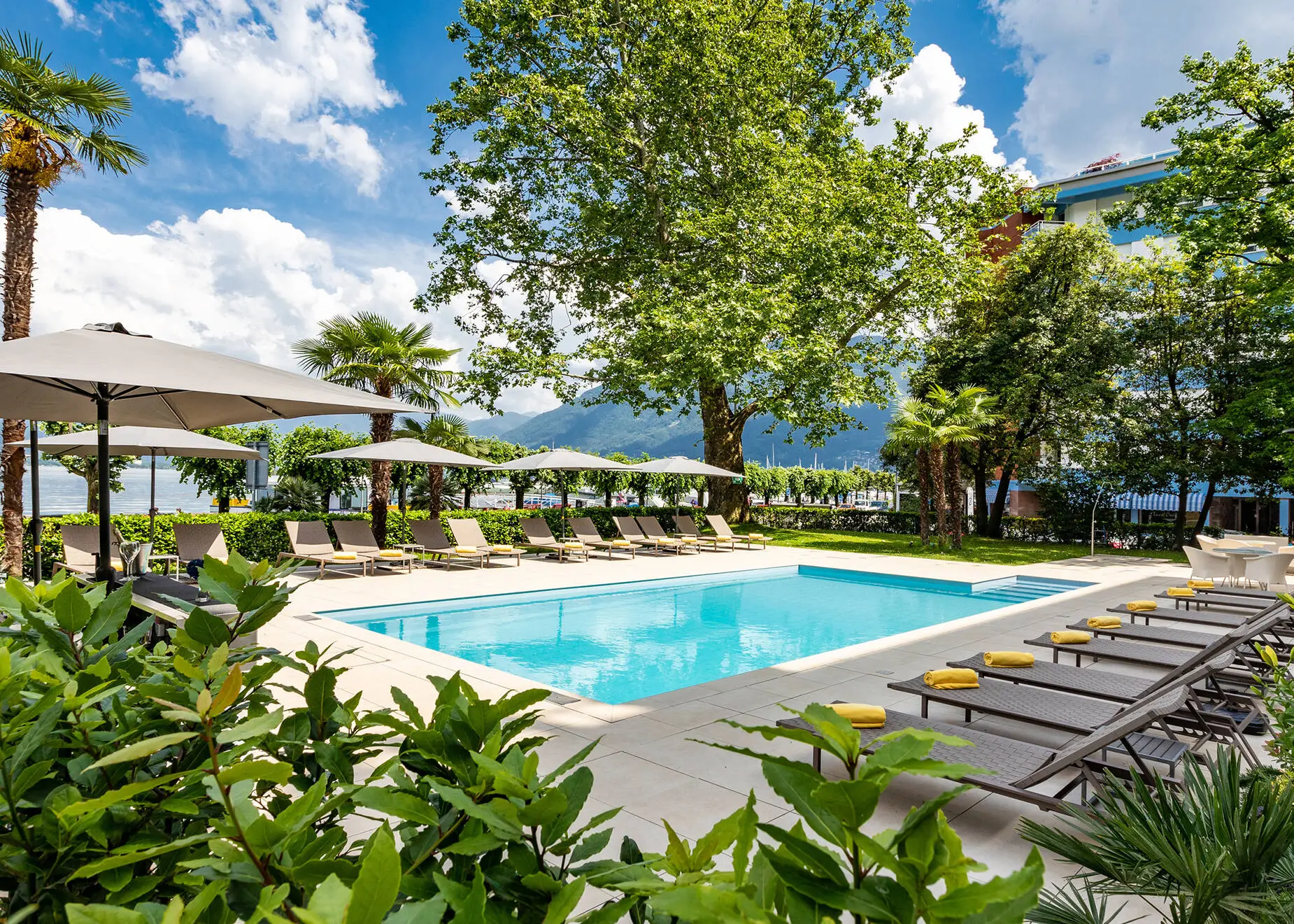 Outdoor pool at the H4 Hotel Arcadia Locarno with palm trees.
