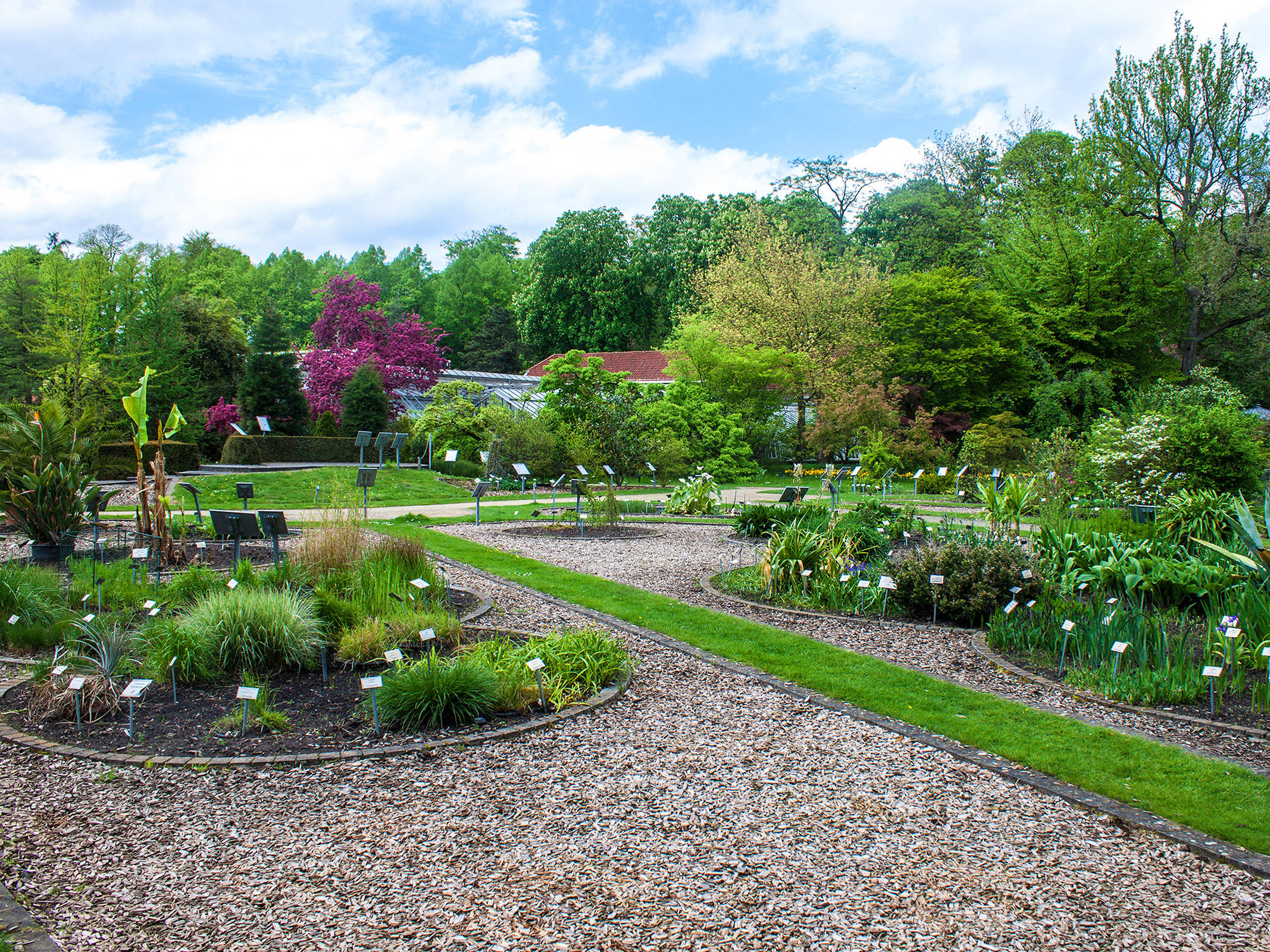 Botanical garden - H-Hotels.com - Official Website Botanical garden - H-Hotels.com - Official Website