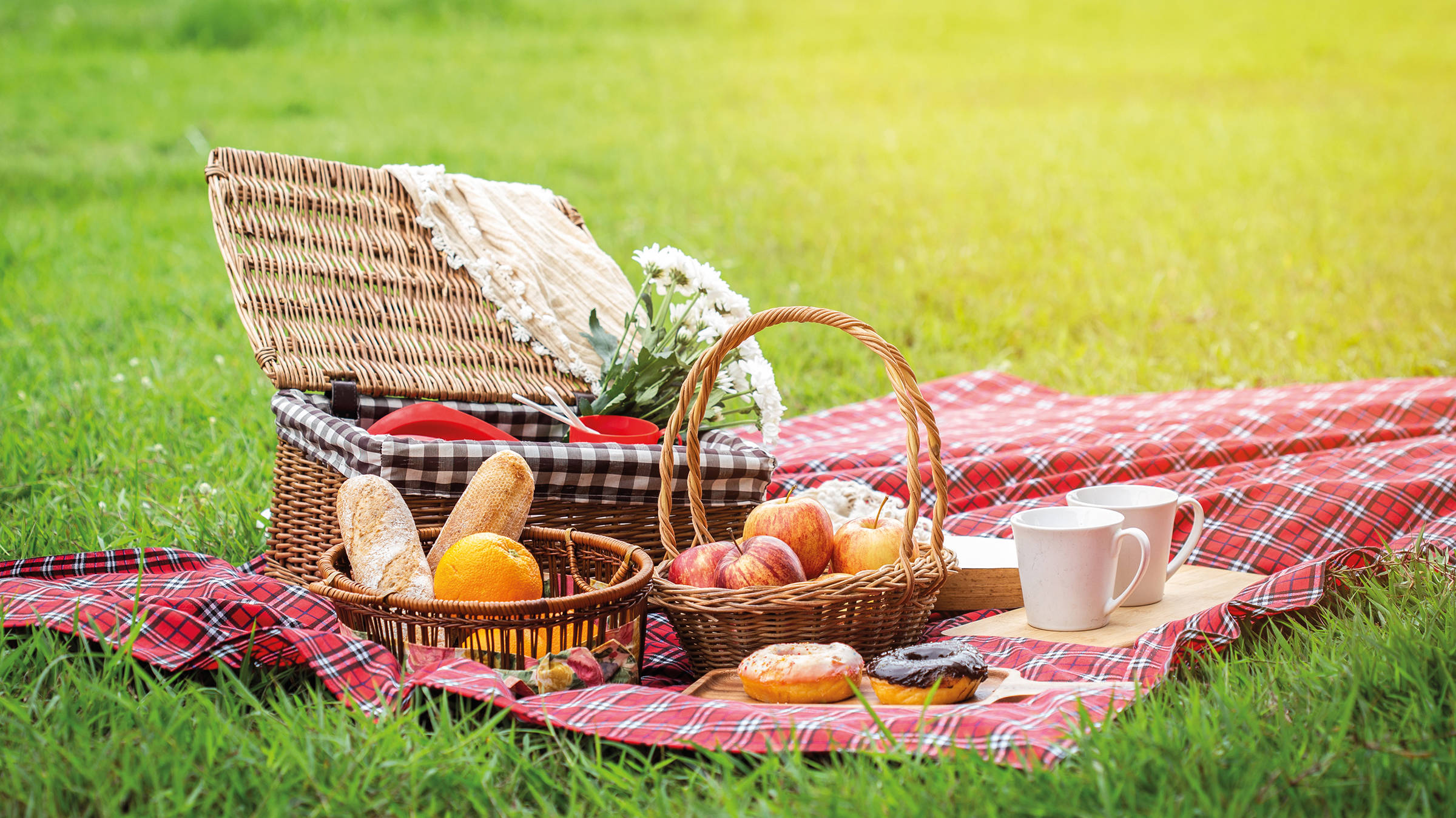 Picknick - Städtereise nach Dresden mit H-Hotels.com - Offizielle Webseite Picknick - Städtereise nach Dresden mit H-Hotels.com - Offizielle Webseite