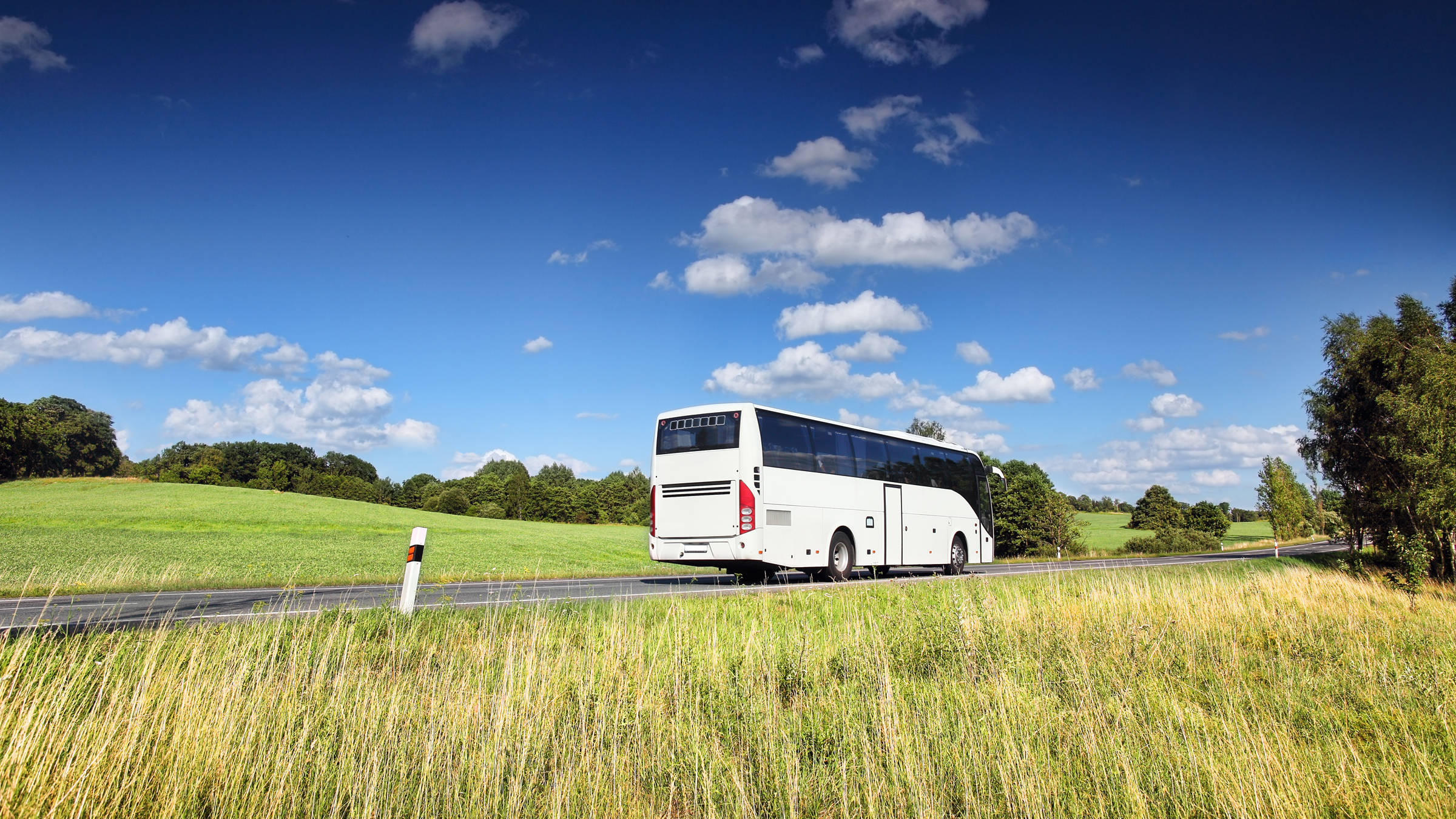 Mit dem Reisebus zum Musical Der König der Löwen - H-Hotels.com Mit dem Reisebus zum Musical Der König der Löwen - H-Hotels.com
