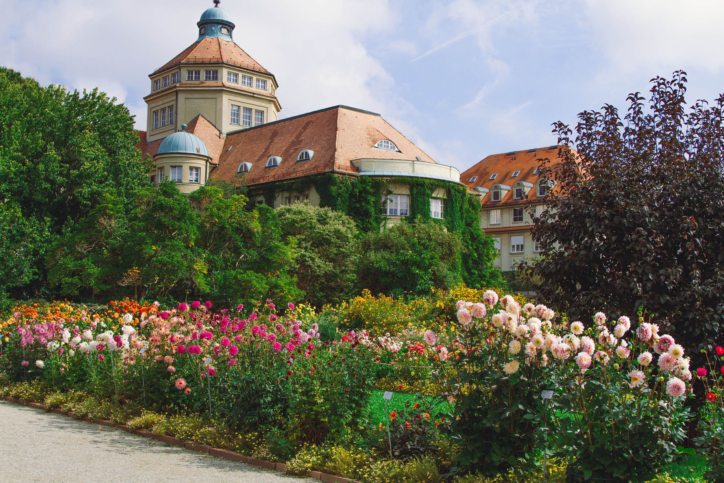 Museen in Frankfurt besuchen | H-Hotels.com