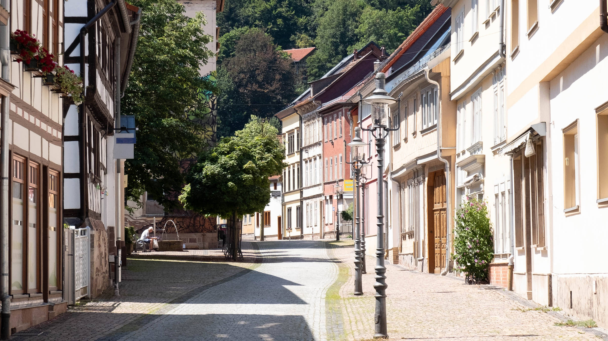 Rennsteig in der Nähe des H+ Hotel & Spa Friedrichroda - Offizielle Webseite Rennsteig in der Nähe des H+ Hotel & Spa Friedrichroda - Offizielle Webseite