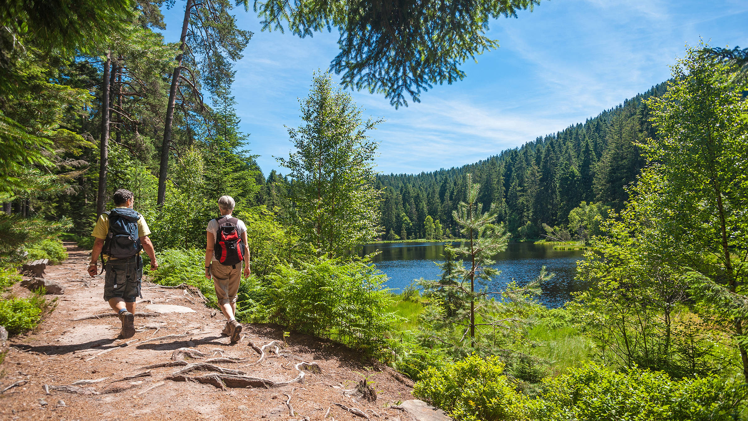 Wandern im Aigner Park | H-Hotels.com Wandern im Aigner Park | H-Hotels.com