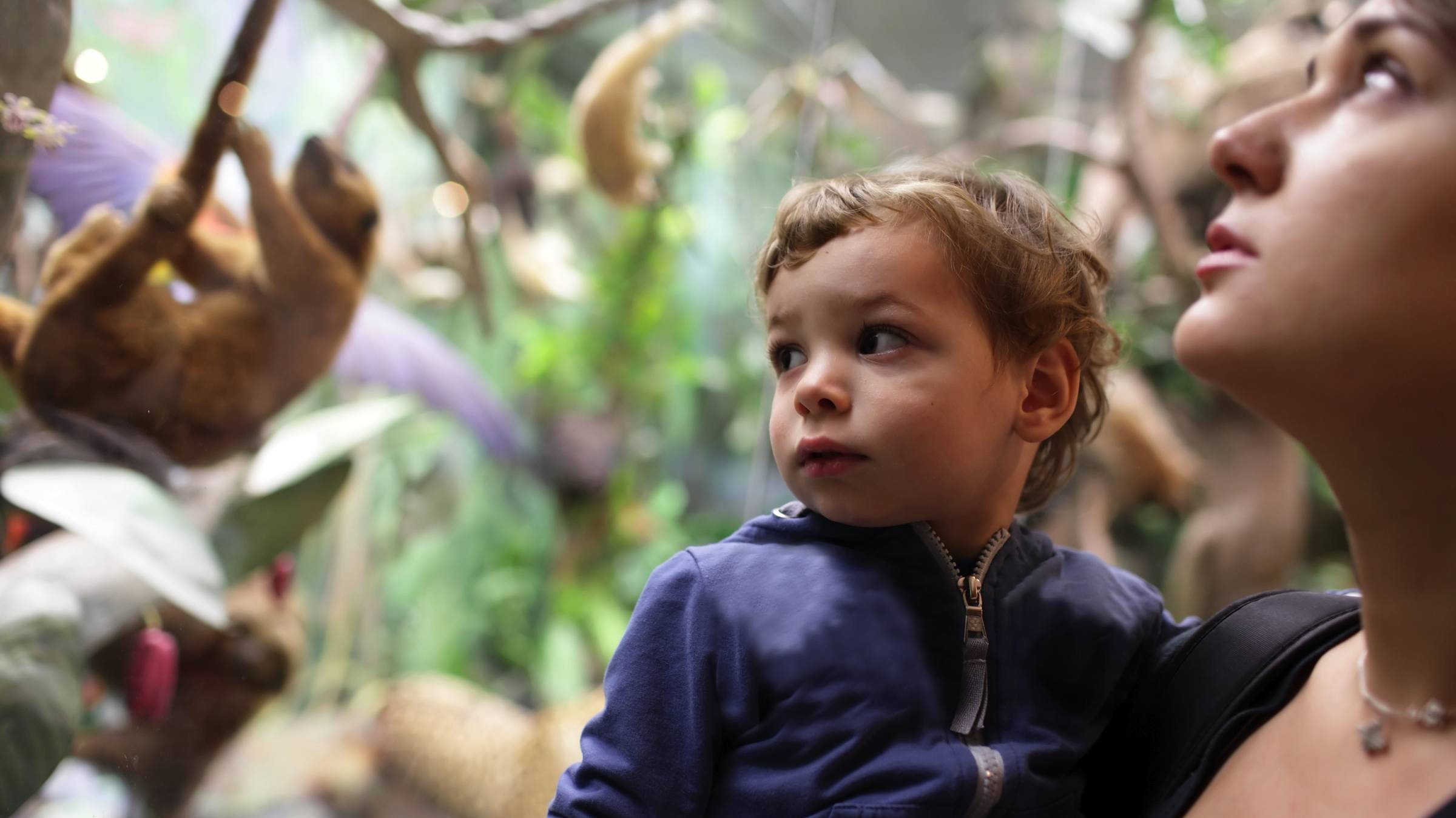 Naturkundemuseum in Frankfurt | H-hotels.com Naturkundemuseum in Frankfurt | H-hotels.com