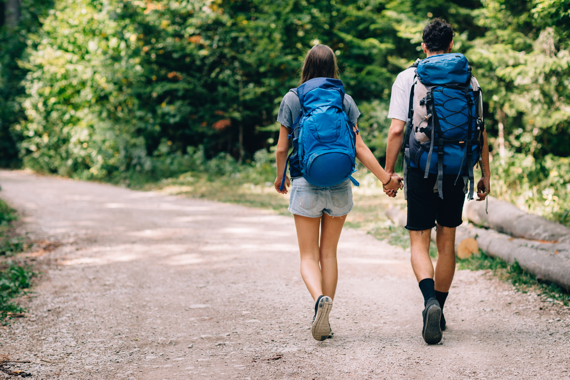 Wandern im Sauerland - H+ Hotel Willingen - Offizielle Webseite Wandern im Sauerland - H+ Hotel Willingen - Offizielle Webseite