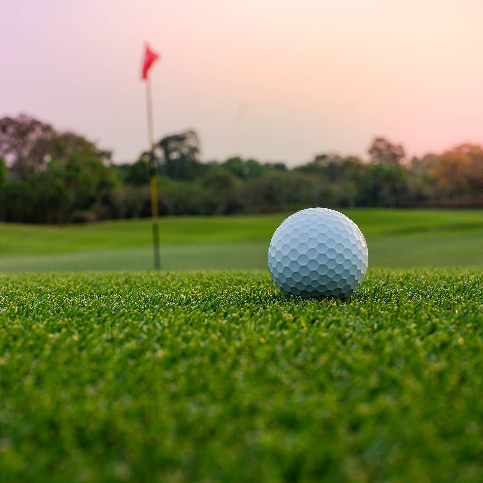 Golfen in Thüringen - H+ Hotel & Spa Friedrichroda - Offizielle Webseite Golfen in Thüringen - H+ Hotel & Spa Friedrichroda - Offizielle Webseite