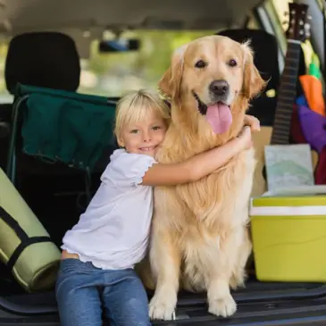 Urlaub mit Hund - H-Hotels.com - Offizielle Webseite