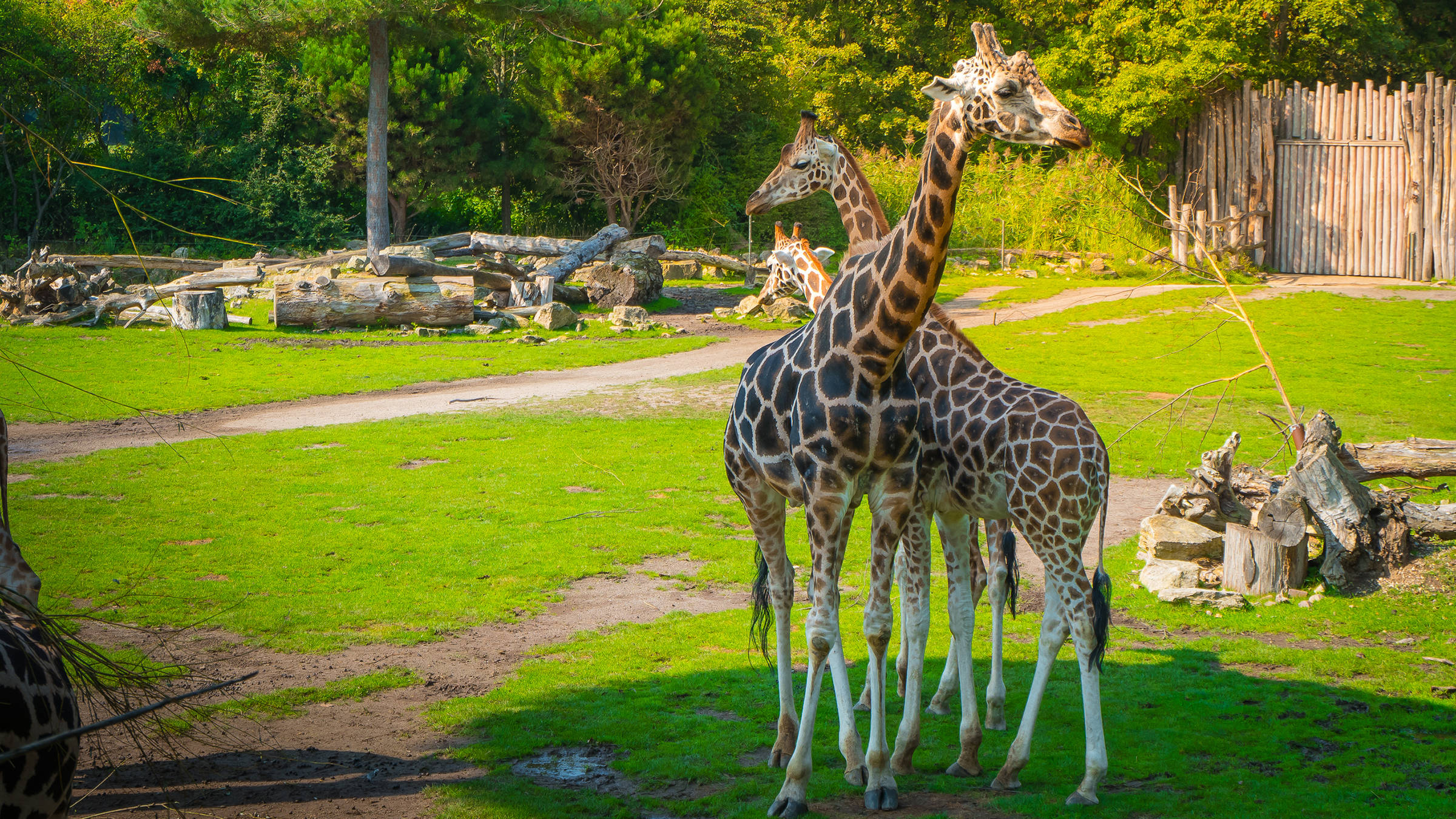 Zoo van Leipzig - H4 Hotel Leipzig - Officiële website