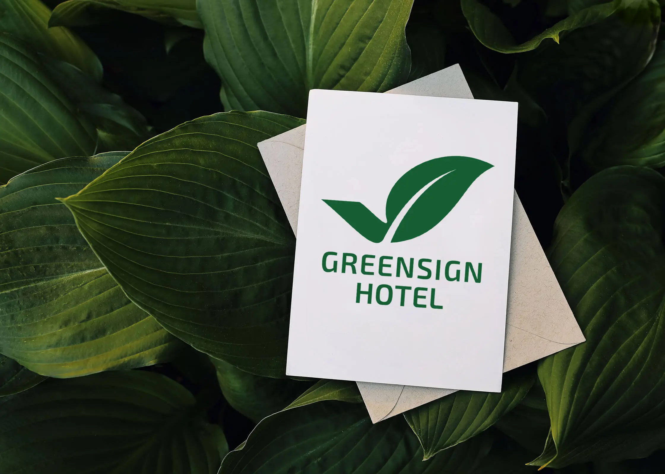 Karte mit der Aufschrift "GreenSign Hotel" liegt auf vielen grünen Blättern.